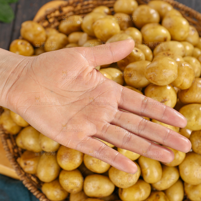小土豆