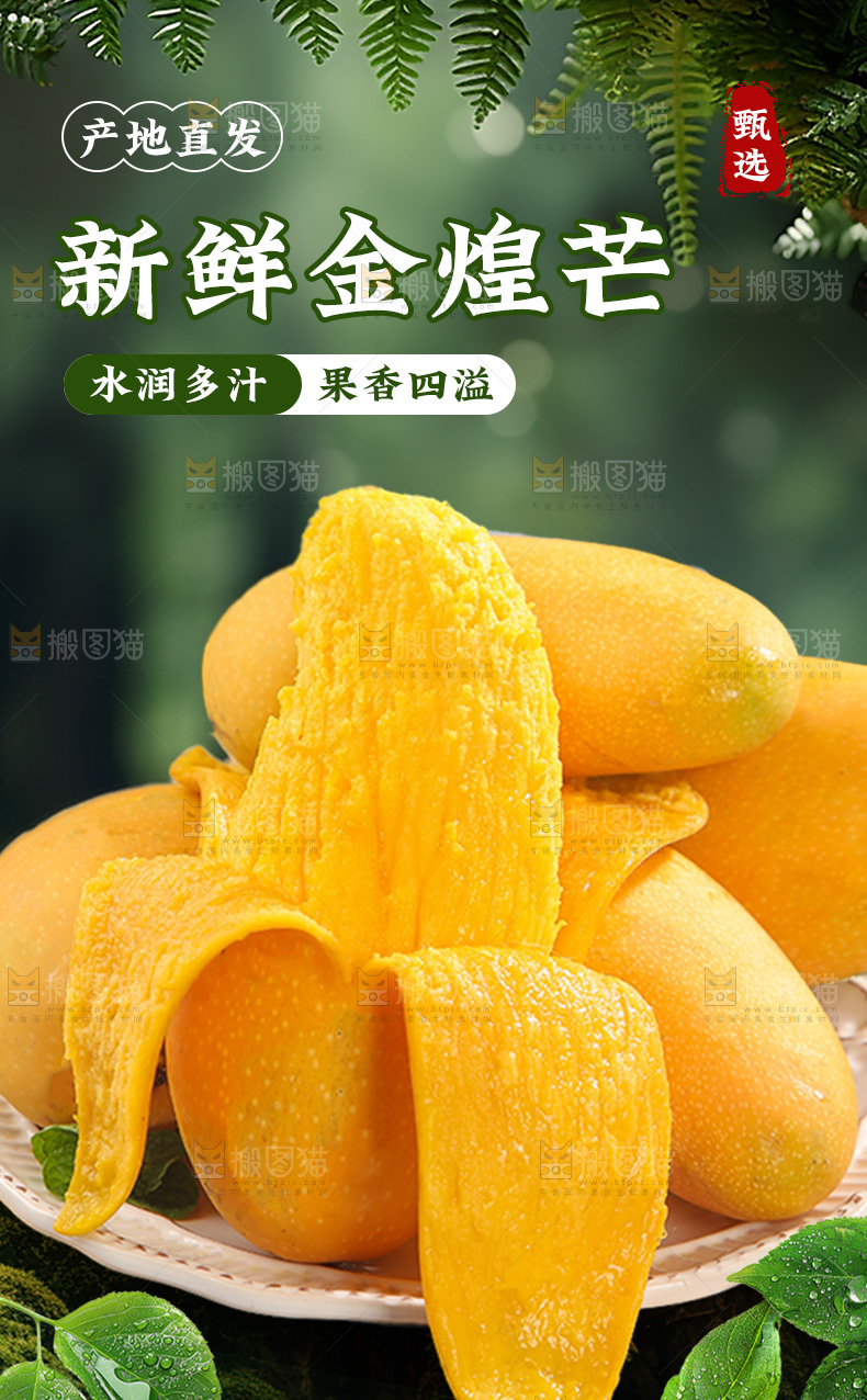 金煌芒详情页