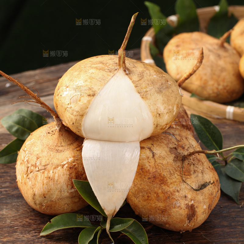 凉薯