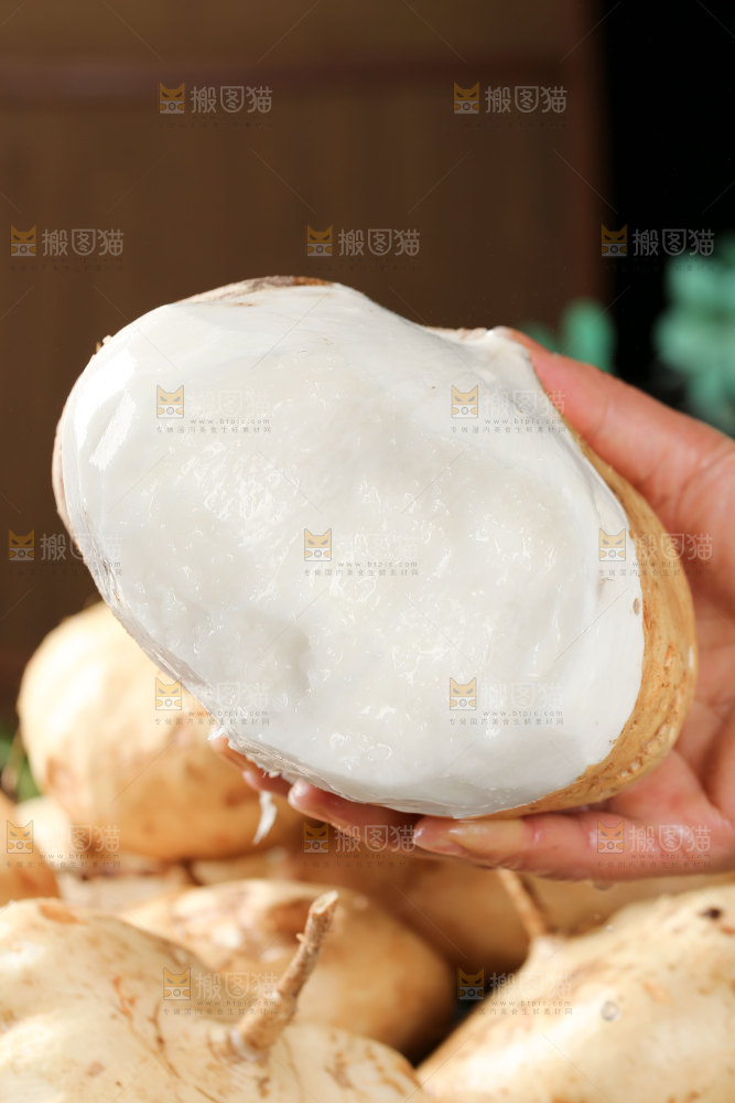 凉薯