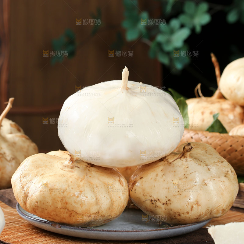 凉薯
