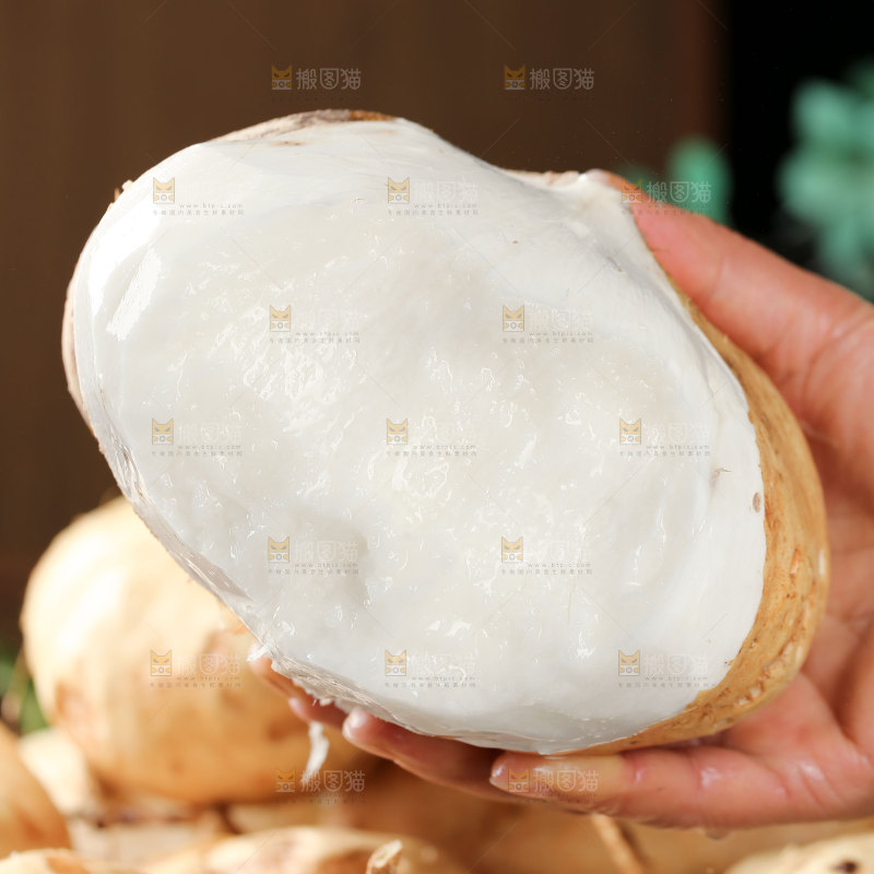 凉薯