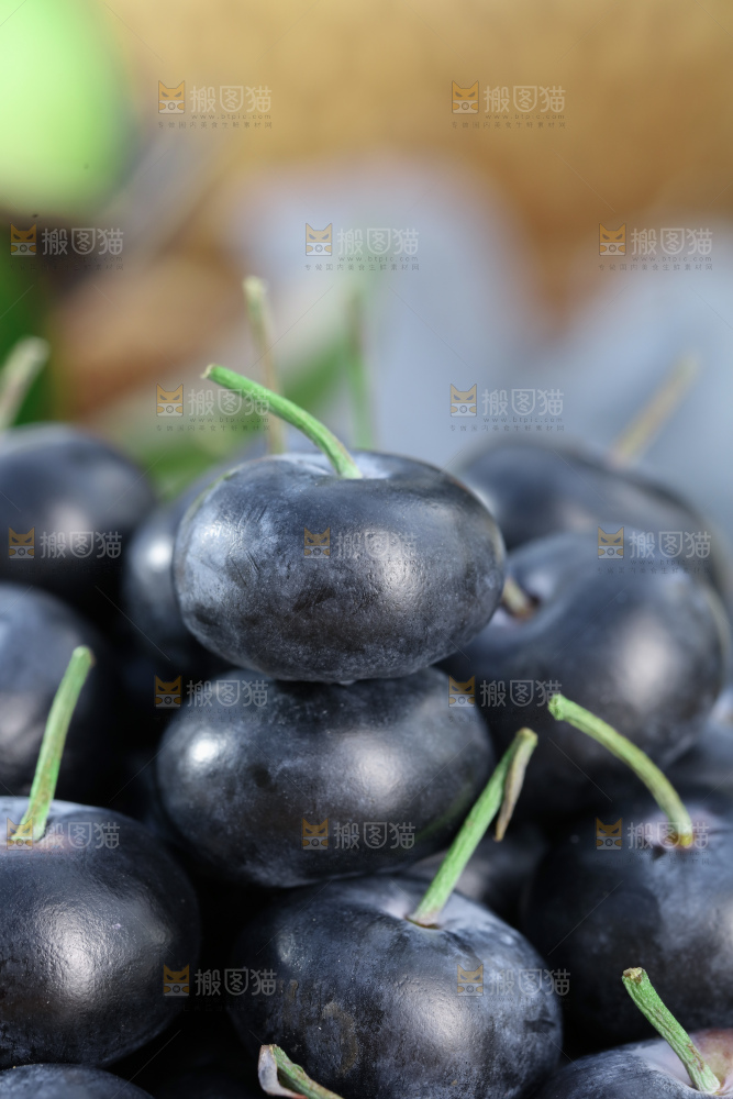 带杆蓝莓