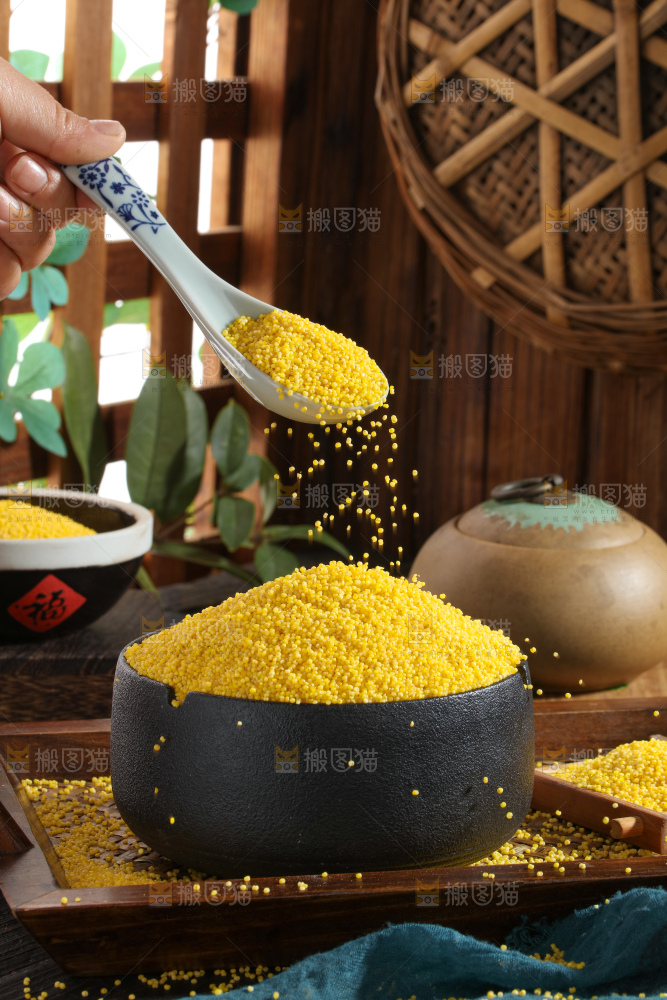 小黄米 黄小米 小米