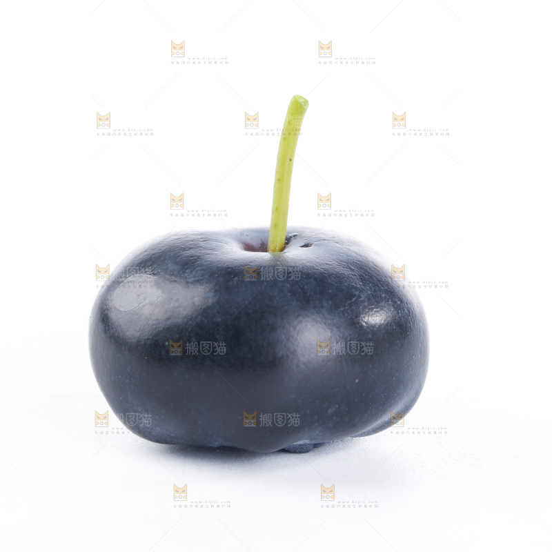 带杆蓝莓