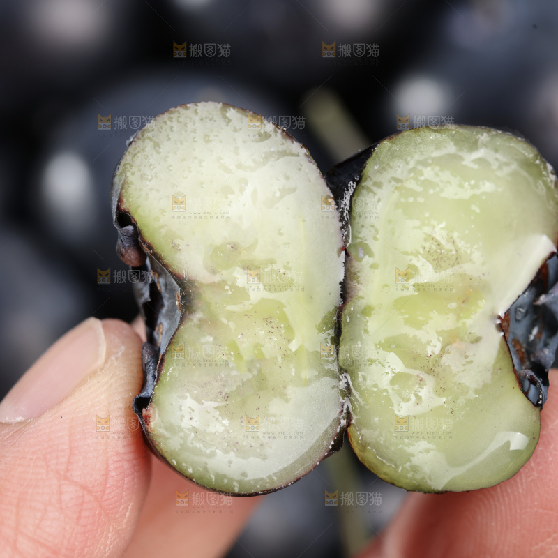 带杆蓝莓
