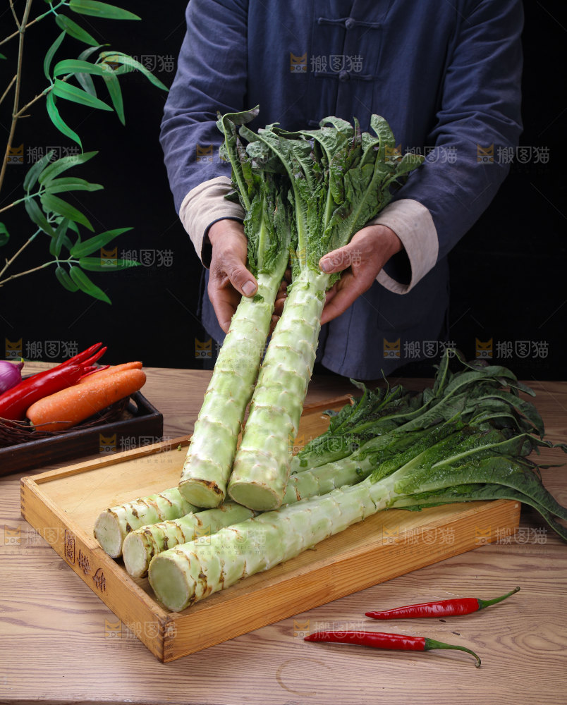 紫叶莴笋