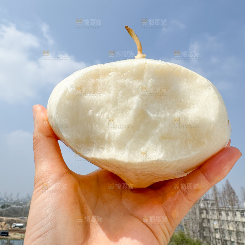 凉薯 地瓜