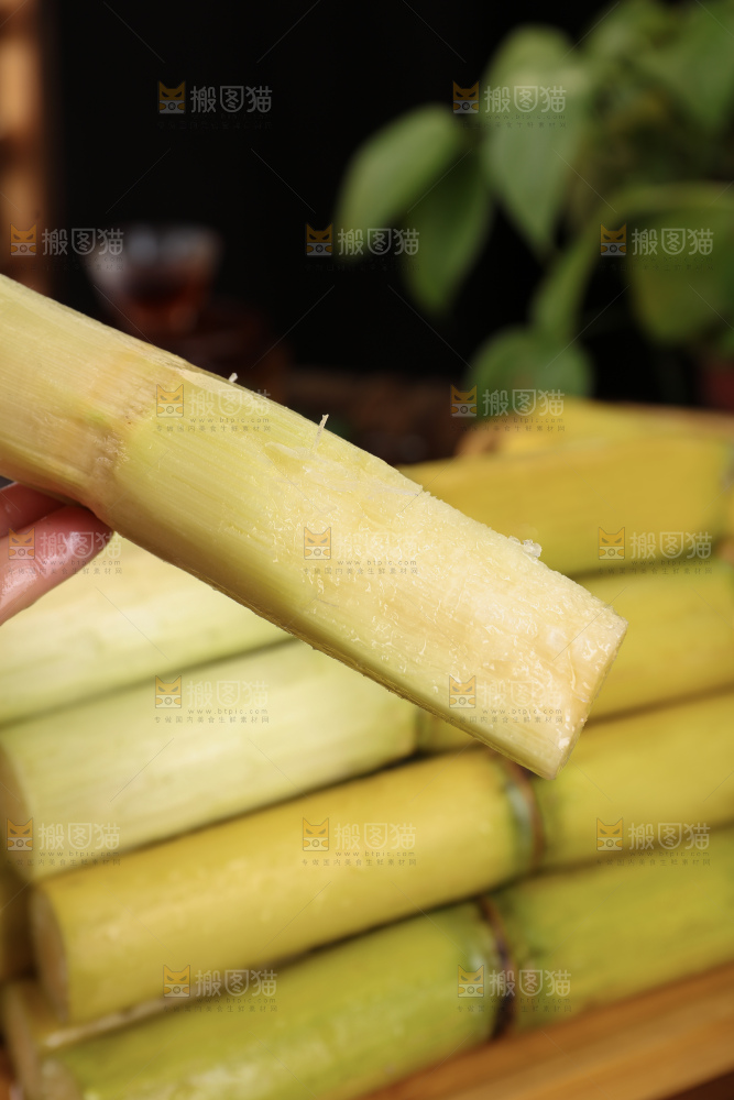 黄皮甘蔗