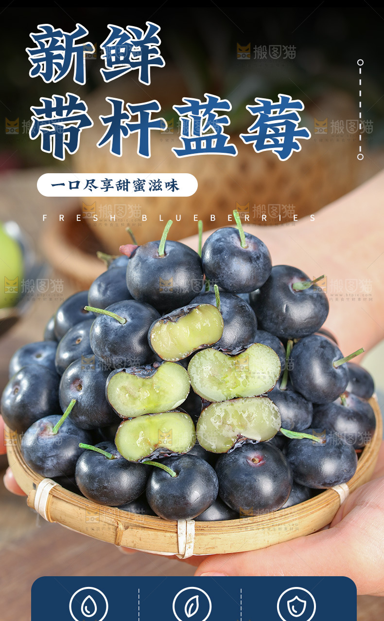 带杆蓝莓详情页