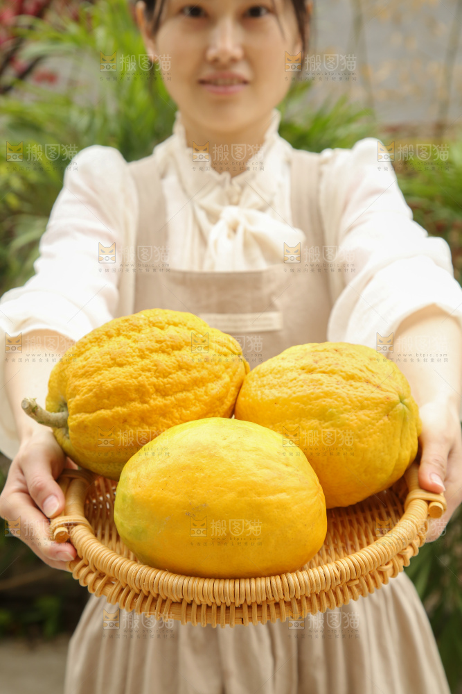 香橼果
