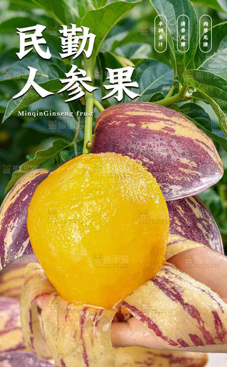 民勤人参果详情页