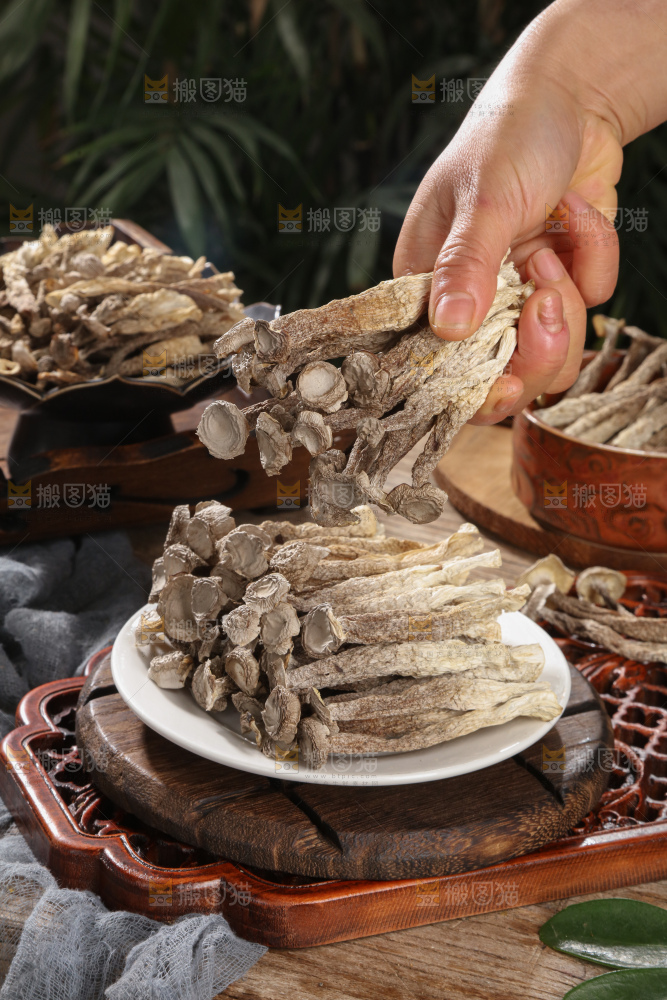 鹿茸菇