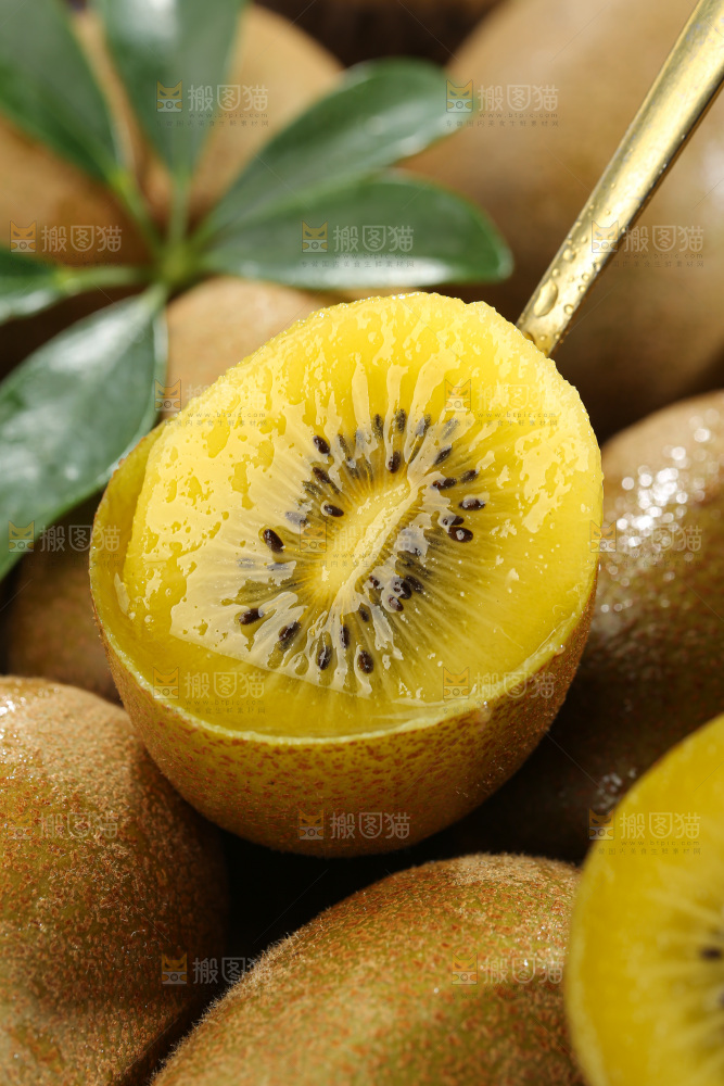 黄金奇异果