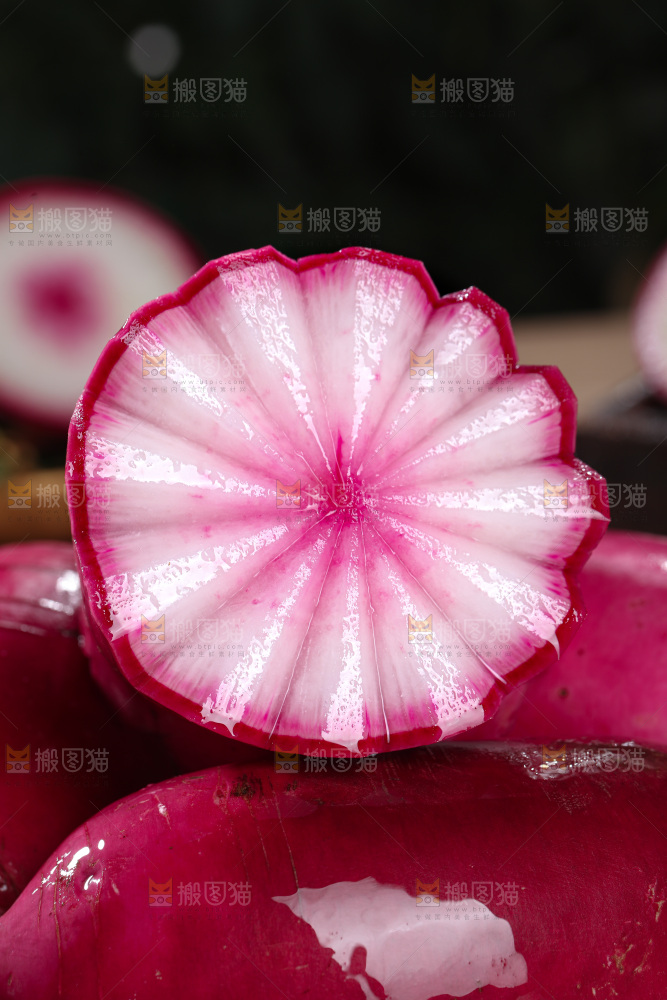 冰糖心水果萝卜