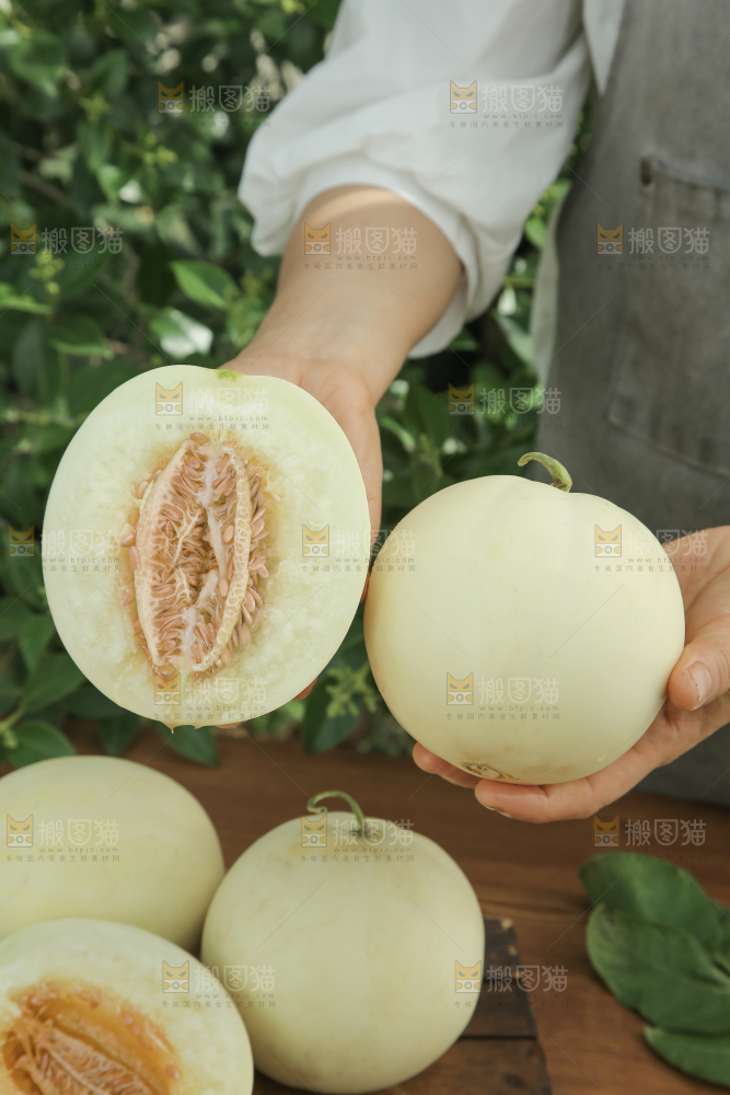 阎良甜瓜