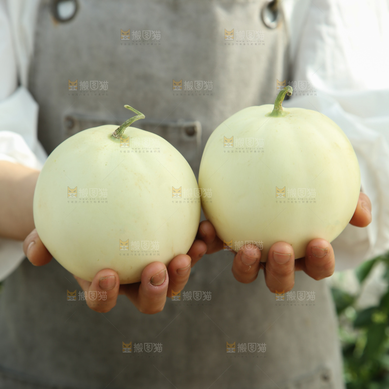 阎良甜瓜