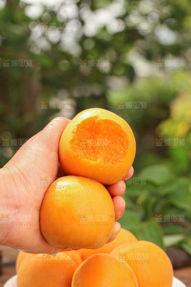 大黄杏
