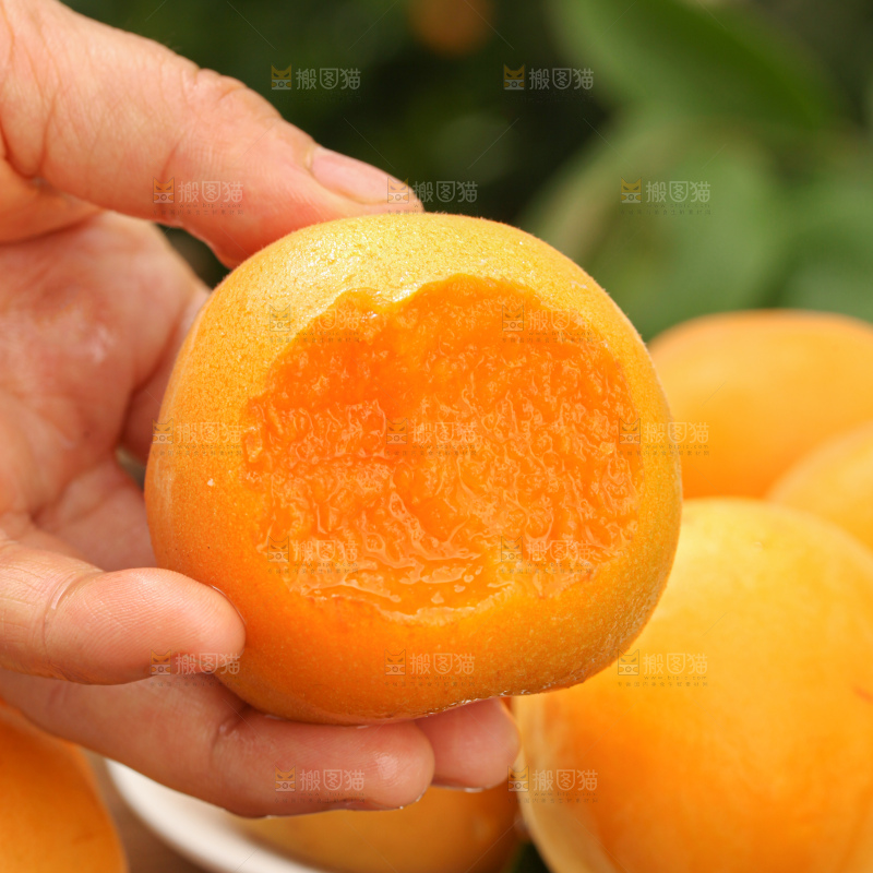 大黄杏
