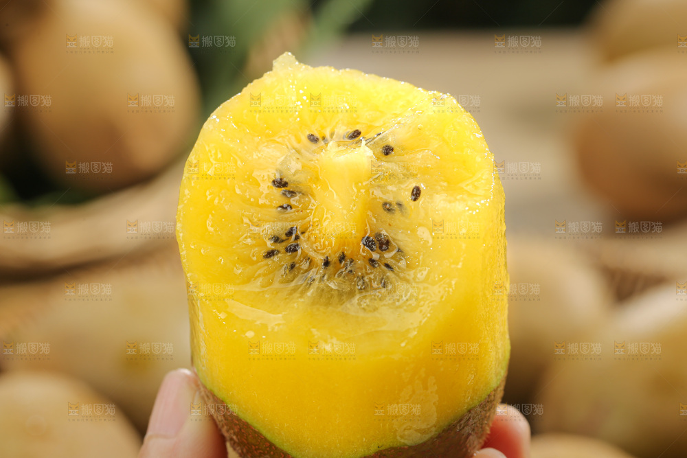 黄金奇异果