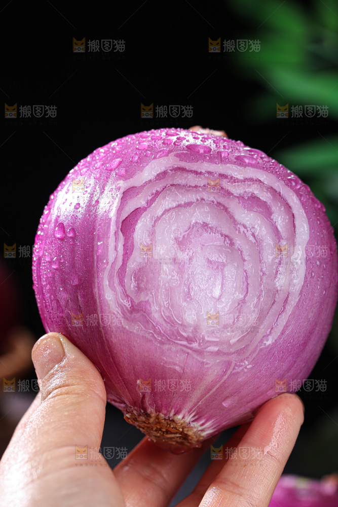 洋葱