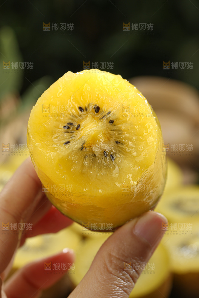 黄金奇异果