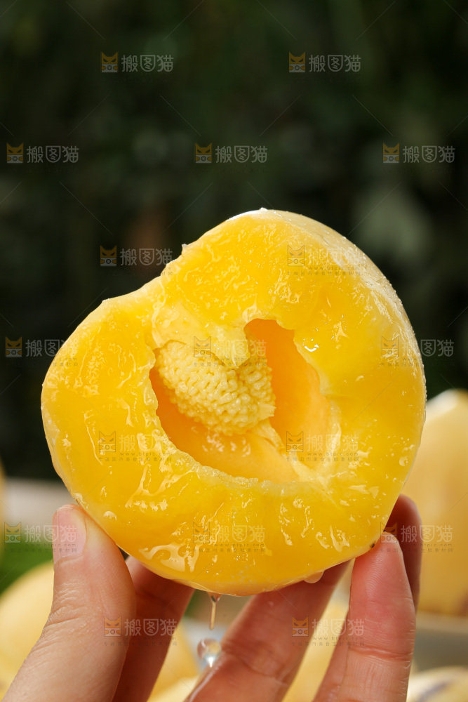人参果