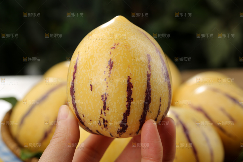 人参果
