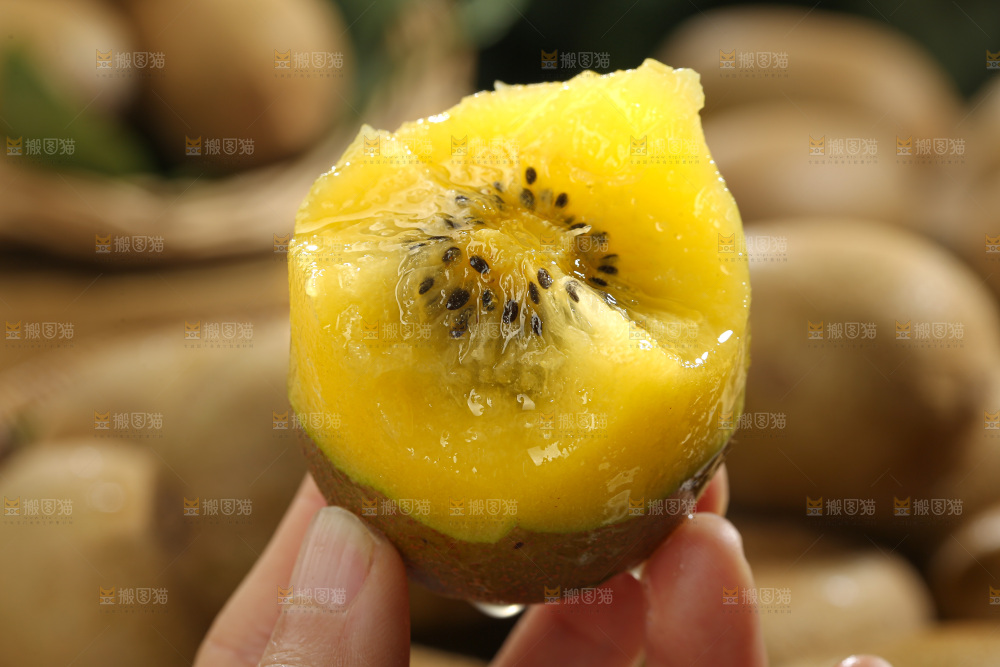 黄金奇异果