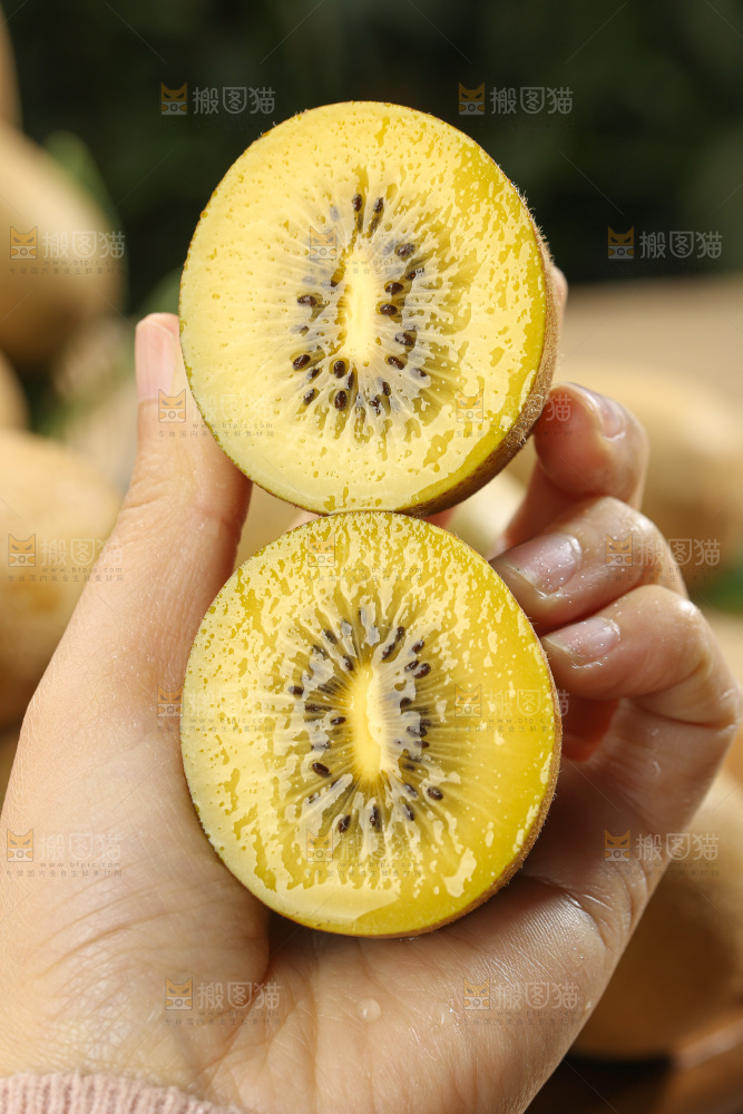 黄金奇异果