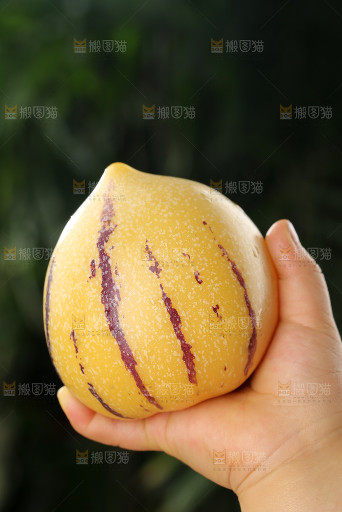 人参果