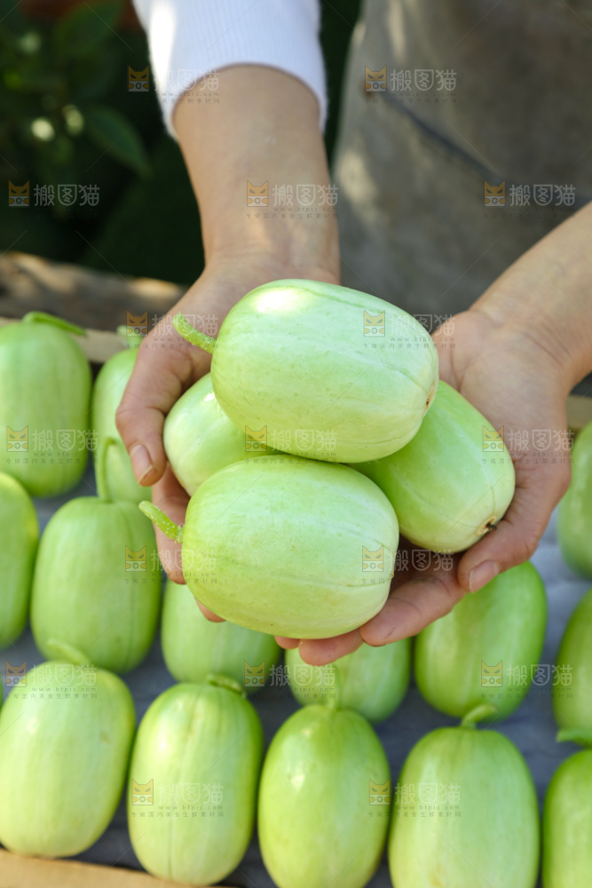 玉女黄瓜
