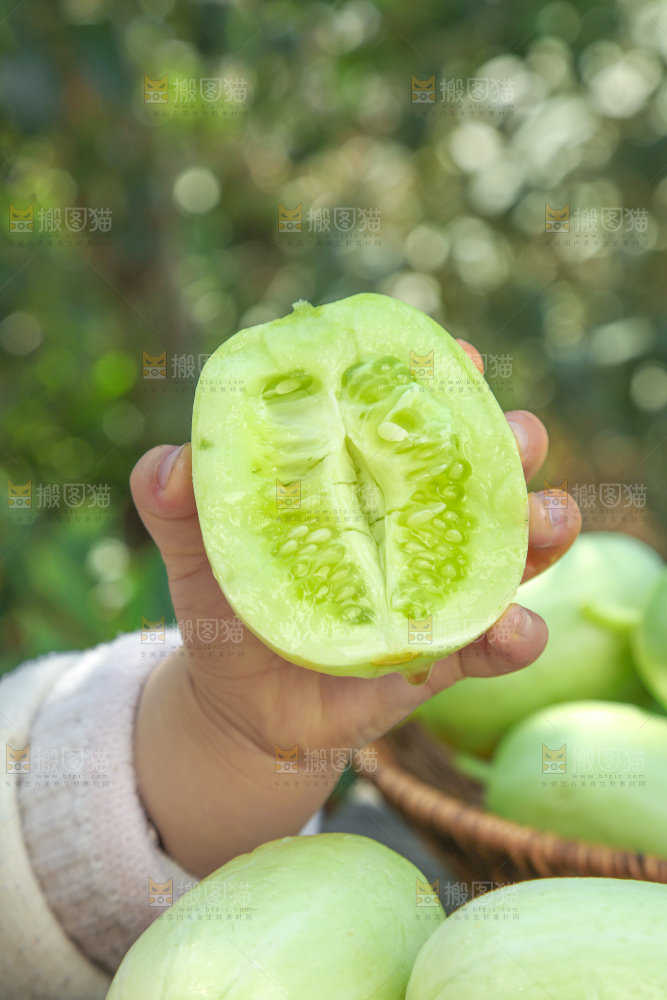 玉女黄瓜