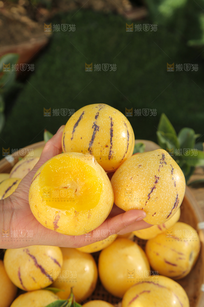 人参果