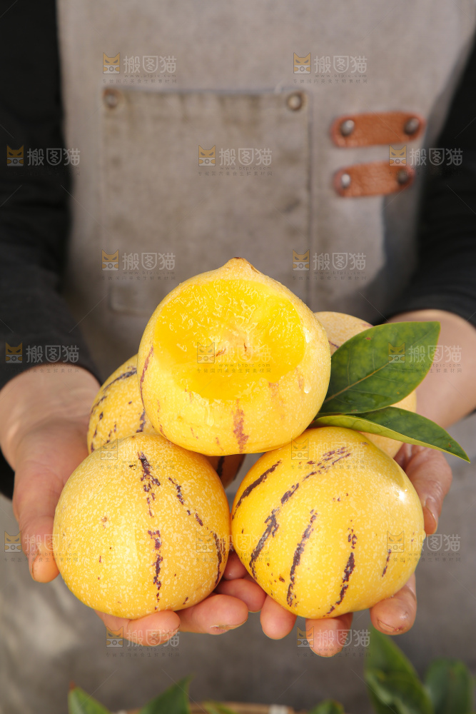 人参果