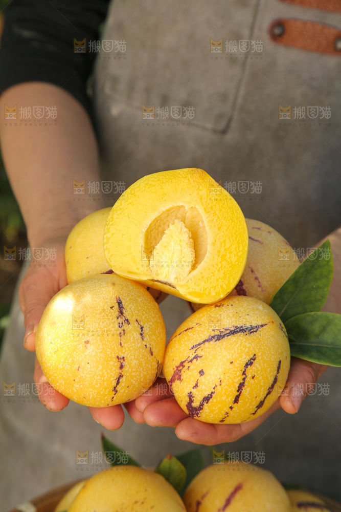 人参果