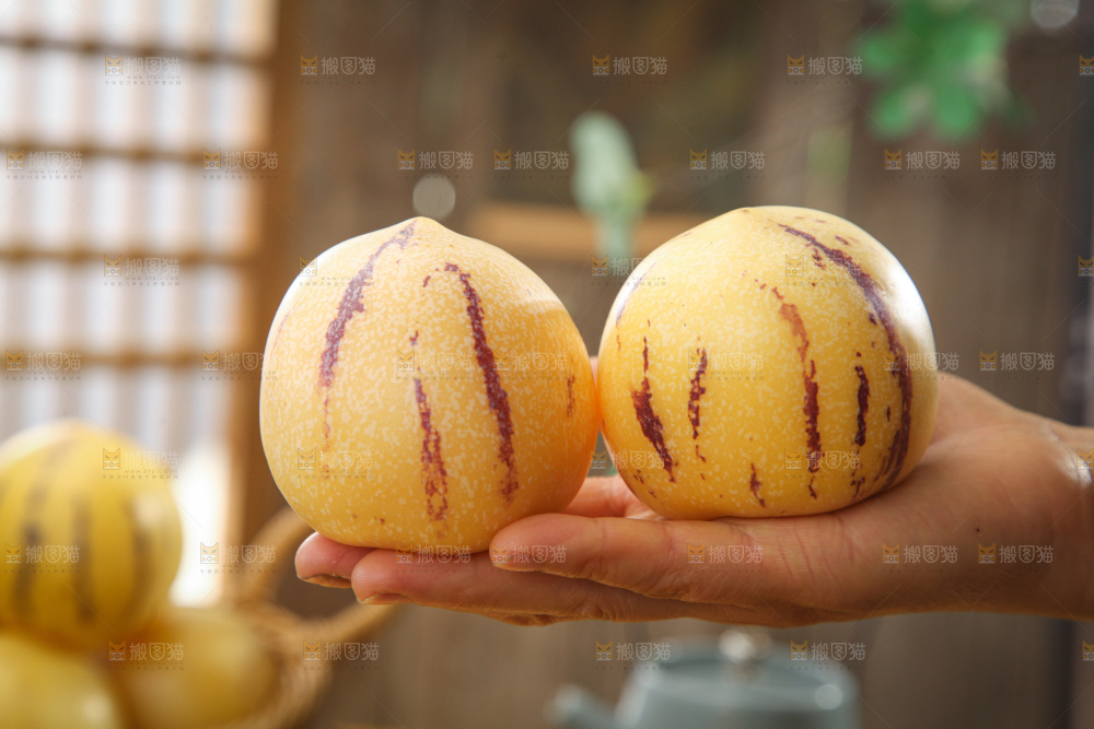 人参果