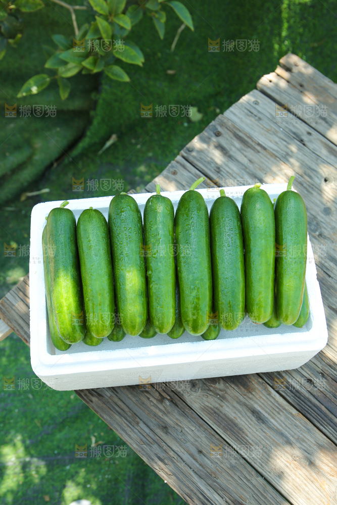 水果黄瓜