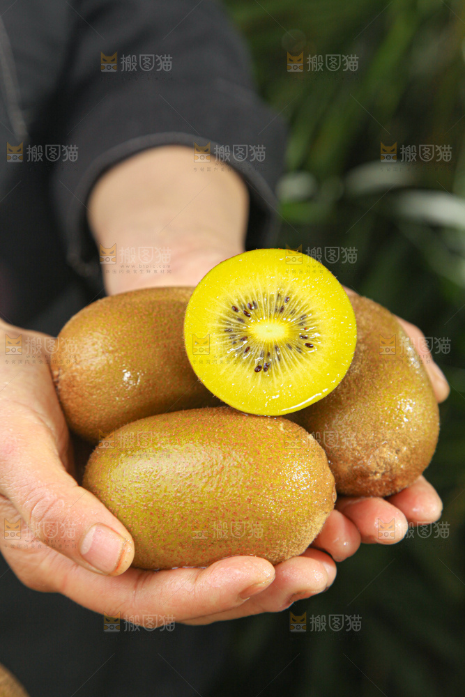 黄金奇异果