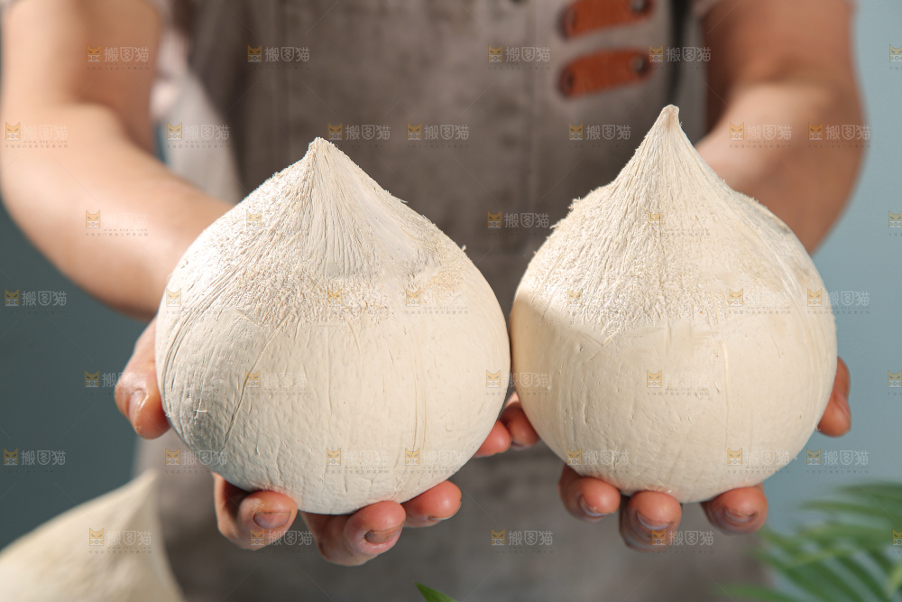 牛奶椰皇