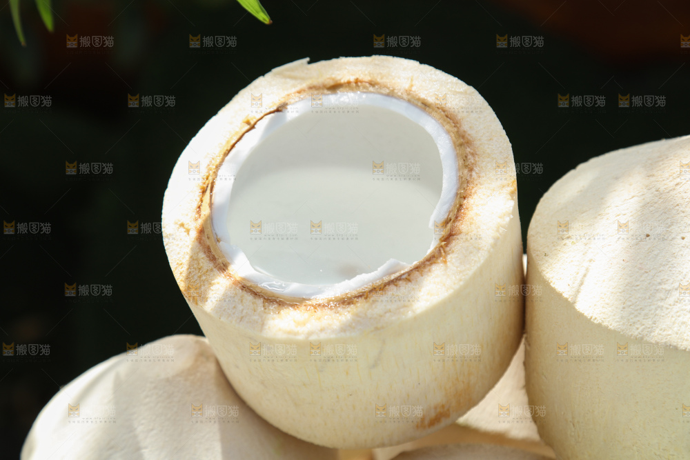 牛奶椰皇