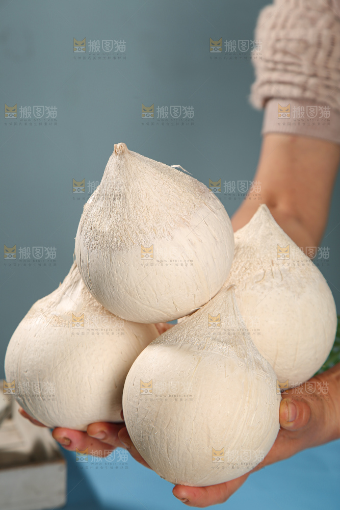 牛奶椰皇
