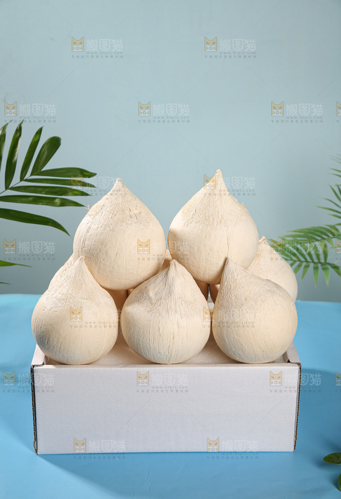 牛奶椰皇