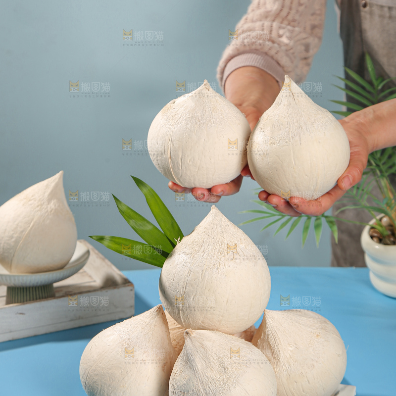 牛奶椰皇