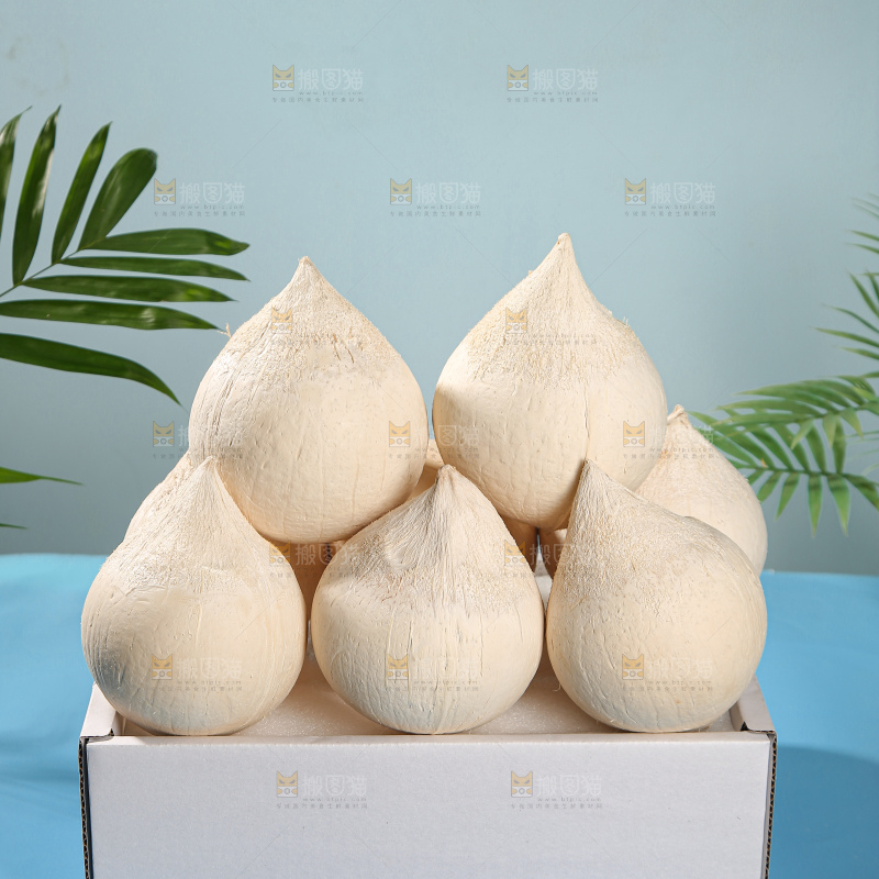 牛奶椰皇