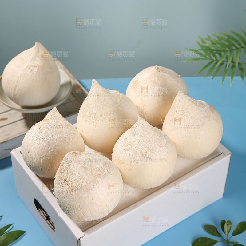 牛奶椰皇