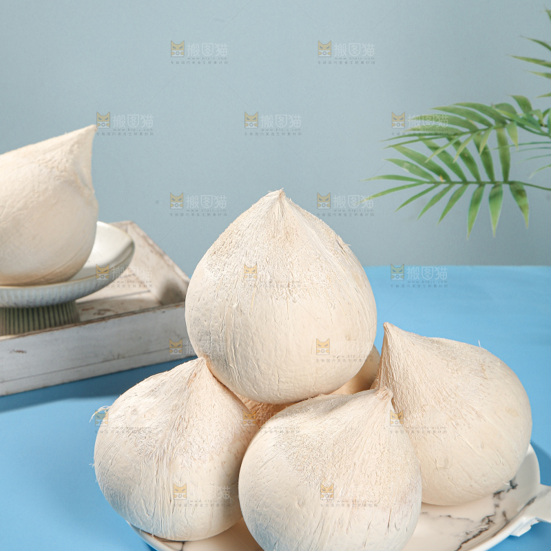 牛奶椰皇