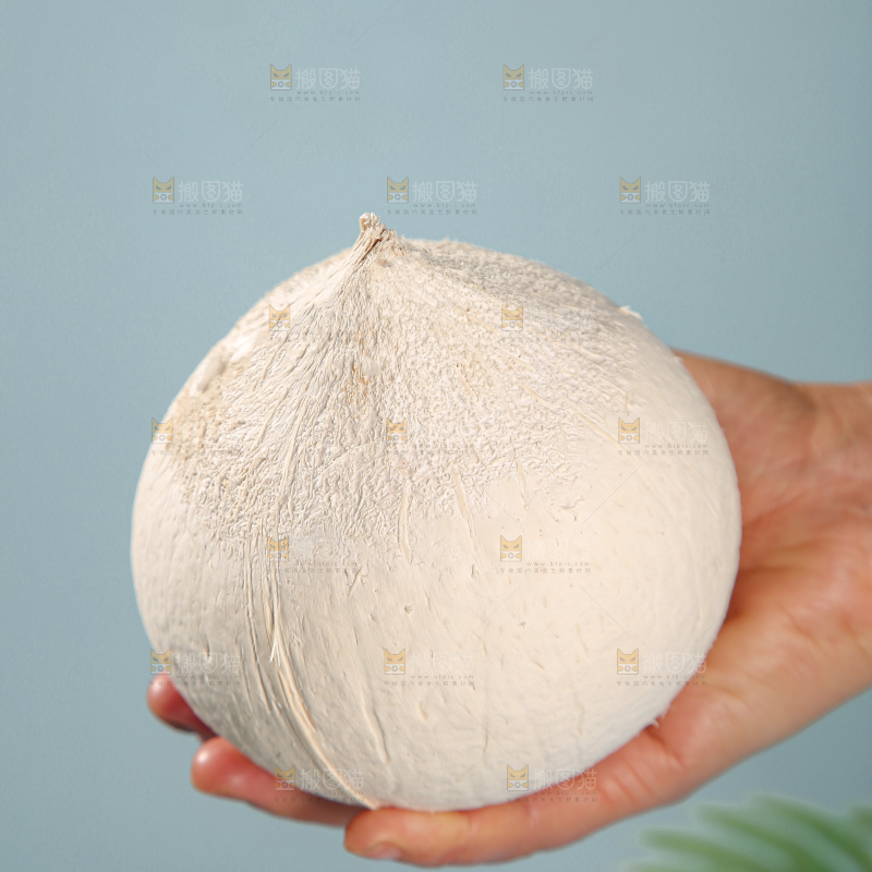 牛奶椰皇