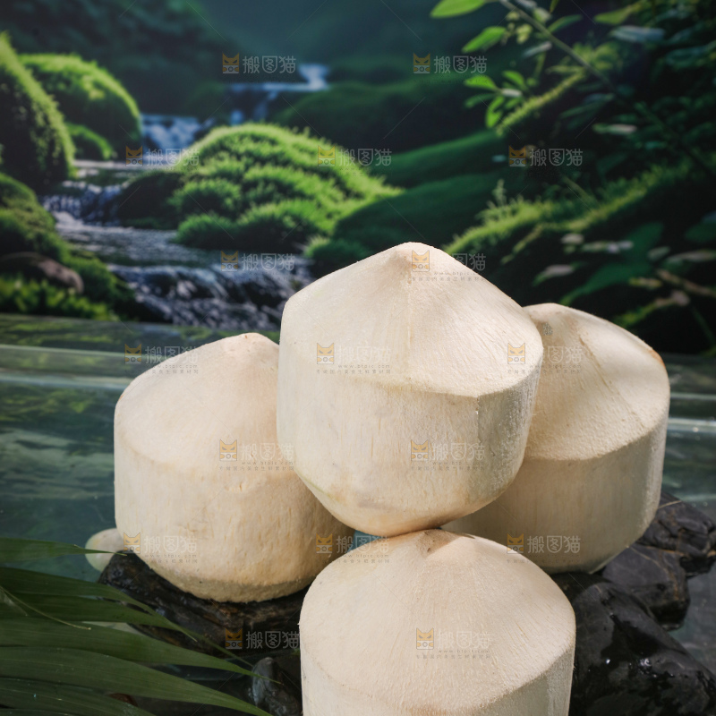 牛奶椰皇