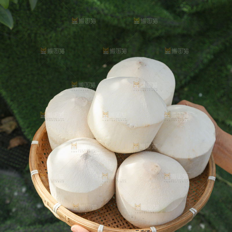 牛奶椰皇